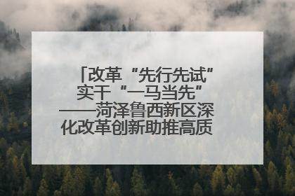 改革“先行先试” 实干“一马当先”——菏泽鲁西新区深化改革创新助推高质量发展纪实