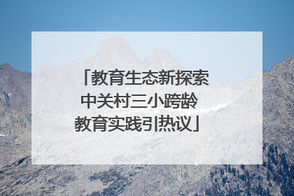 教育生态新探索 中关村三小跨龄教育实践引热议