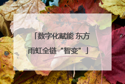 数字化赋能 东方雨虹全链“智变”