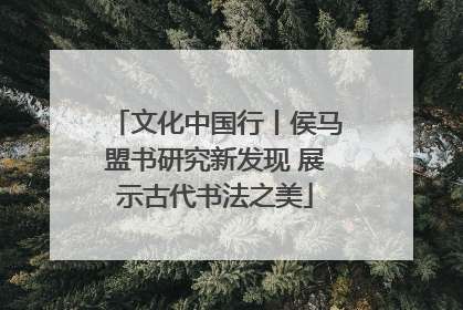 文化中国行丨侯马盟书研究新发现 展示古代书法之美