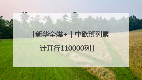 新华全媒+｜中欧班列累计开行110000列