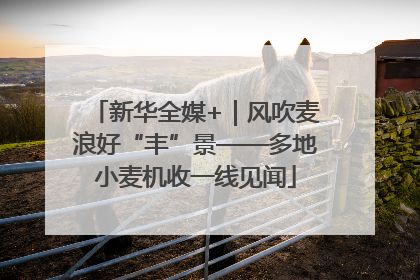 新华全媒+｜风吹麦浪好“丰”景——多地小麦机收一线见闻