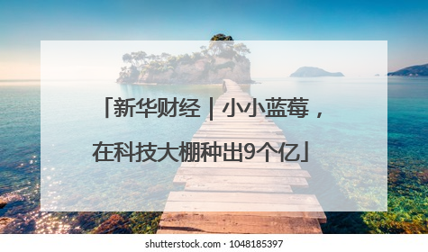 新华财经｜小小蓝莓，在科技大棚种出9个亿
