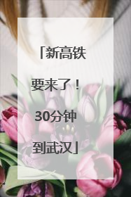 新高铁要来了！30分钟到武汉