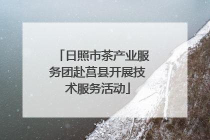 日照市茶产业服务团赴莒县开展技术服务活动