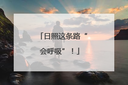 日照这条路“会呼吸”！