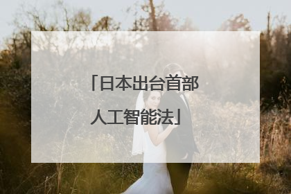 日本出台首部人工智能法