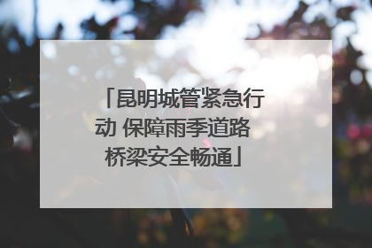 昆明城管紧急行动 保障雨季道路桥梁安全畅通