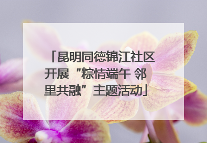 昆明同德锦江社区开展“粽情端午 邻里共融”主题活动