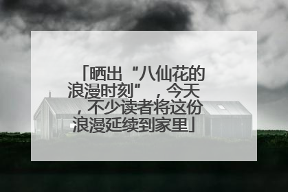 晒出“八仙花的浪漫时刻”，今天，不少读者将这份浪漫延续到家里