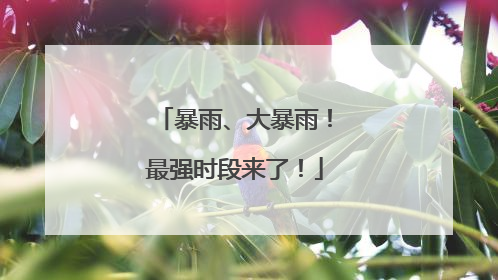 暴雨、大暴雨！最强时段来了！