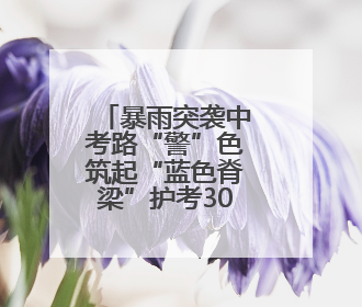 暴雨突袭中考路“警”色筑起“蓝色脊梁”护考3000余学子