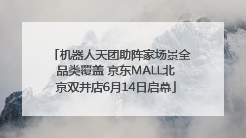 机器人天团助阵家场景全品类覆盖 京东MALL北京双井店6月14日启幕