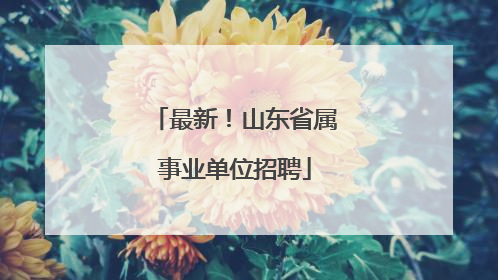 最新！山东省属事业单位招聘