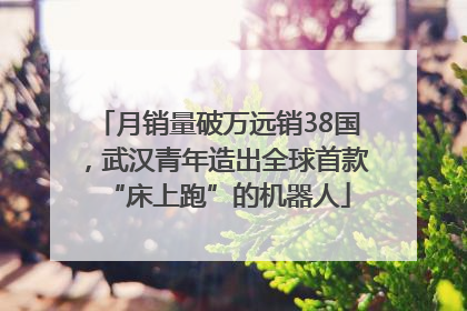 月销量破万远销38国，武汉青年造出全球首款“床上跑”的机器人