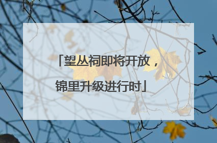 望丛祠即将开放，锦里升级进行时