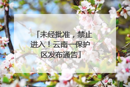 未经批准，禁止进入！云南一保护区发布通告