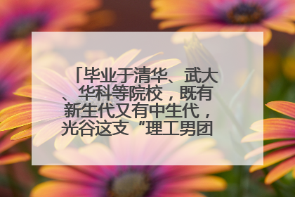 毕业于清华、武大、华科等院校，既有新生代又有中生代，光谷这支“理工男团”为何“出道”？
