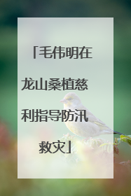 毛伟明在龙山桑植慈利指导防汛救灾