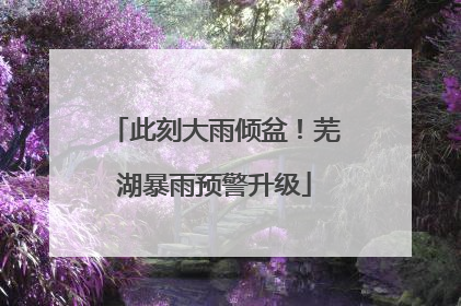此刻大雨倾盆！芜湖暴雨预警升级