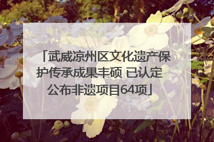 武威凉州区文化遗产保护传承成果丰硕 已认定公布非遗项目64项