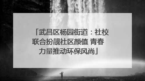 武昌区杨园街道：社校联合扮靓社区颜值 青春力量推动环保风尚