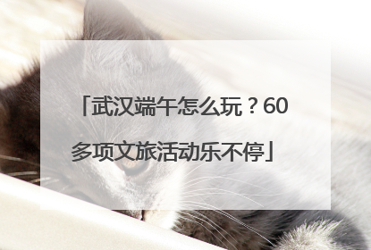 武汉端午怎么玩？60多项文旅活动乐不停
