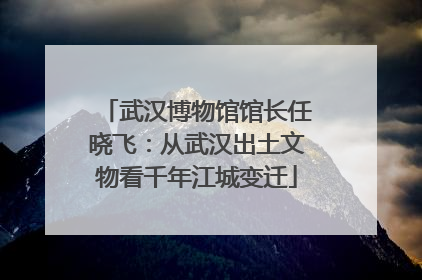 武汉博物馆馆长任晓飞：从武汉出土文物看千年江城变迁