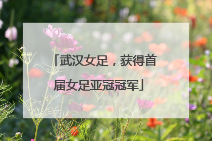 武汉女足，获得首届女足亚冠冠军