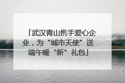武汉青山携手爱心企业，为“城市天使”送端午暖“新”礼包