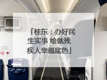 桂东：办好民生实事 绘就残疾人幸福底色