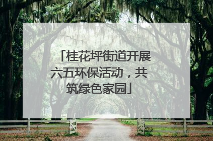 桂花坪街道开展六五环保活动，共筑绿色家园