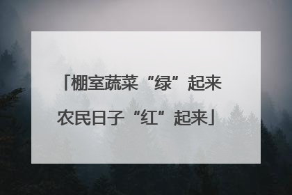 棚室蔬菜“绿”起来 农民日子“红”起来