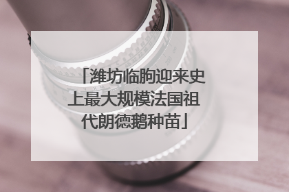 潍坊临朐迎来史上最大规模法国祖代朗德鹅种苗
