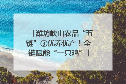 潍坊峡山农品“五链”③优养优产！全链赋能“一只鸡”