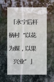 永宁后杆柄村“以花为媒，以果兴业”