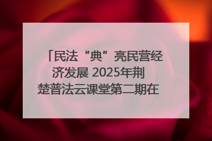 民法“典”亮民营经济发展 2025年荆楚普法云课堂第二期在武汉客厅开讲