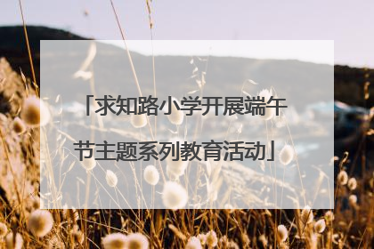 求知路小学开展端午节主题系列教育活动