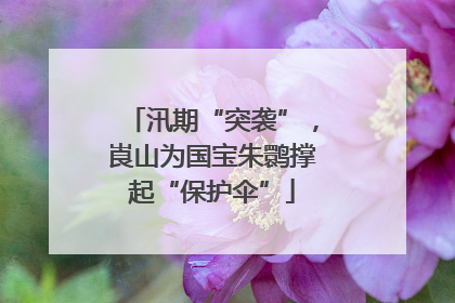 汛期“突袭”，崀山为国宝朱鹮撑起“保护伞”