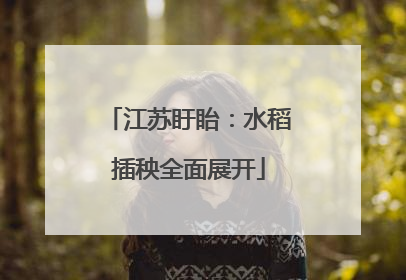 江苏盱眙：水稻插秧全面展开
