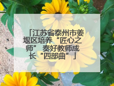 江苏省泰州市姜堰区培养“匠心之师” 奏好教师成长“四部曲”