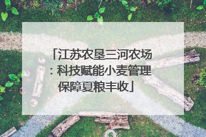 江苏农垦三河农场：科技赋能小麦管理保障夏粮丰收