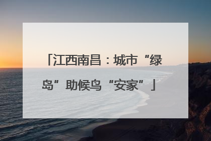 江西南昌：城市“绿岛”助候鸟“安家”
