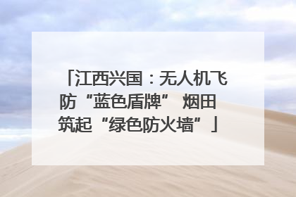 江西兴国：无人机飞防“蓝色盾牌” 烟田筑起“绿色防火墙”