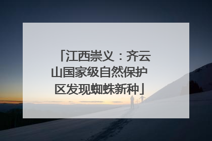 江西崇义：齐云山国家级自然保护区发现蜘蛛新种
