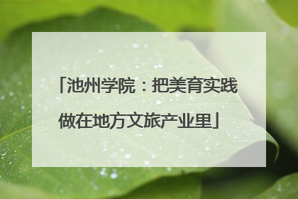 池州学院：把美育实践做在地方文旅产业里