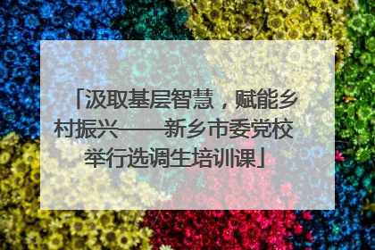 汲取基层智慧，赋能乡村振兴——新乡市委党校举行选调生培训课