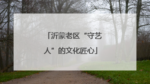 沂蒙老区“守艺人”的文化匠心
