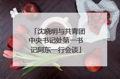 沈晓明与共青团中央书记处第一书记阿东一行会谈