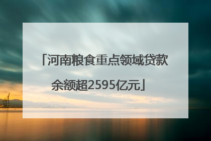 河南粮食重点领域贷款余额超2595亿元